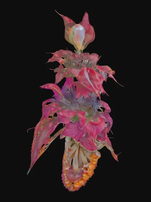 3D model for Radiant Blossom, Cordyceps, 8K