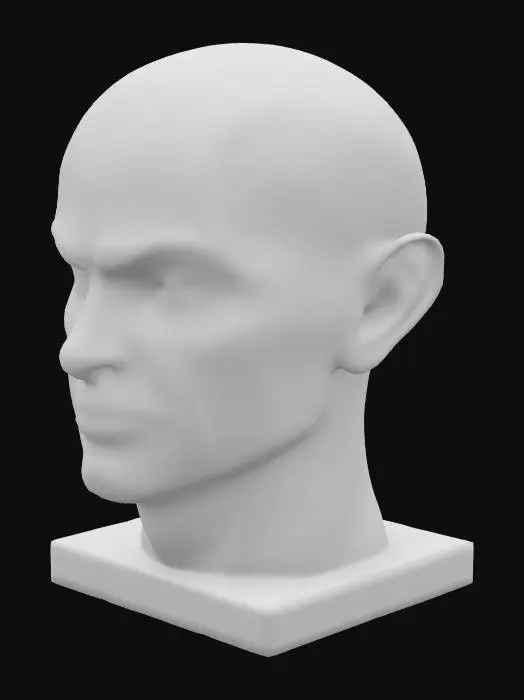 3D model for a bust of a human head with the planes of the face exaggerated and blocked out for artistic reference somewhat in the asaro style the planes should be very well defined and highly detailed 
