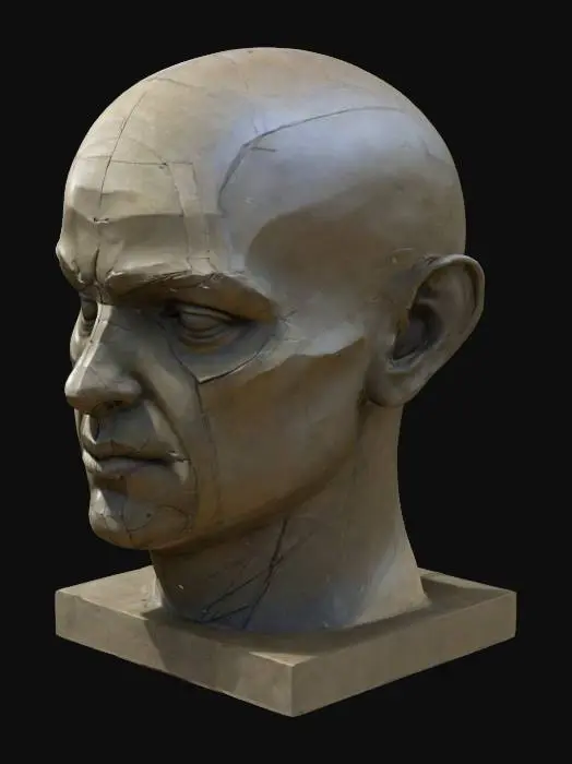 3D model for a bust of a human head with the planes of the face exaggerated and blocked out for artistic reference somewhat in the asaro style the planes should be very well defined and highly detailed 
