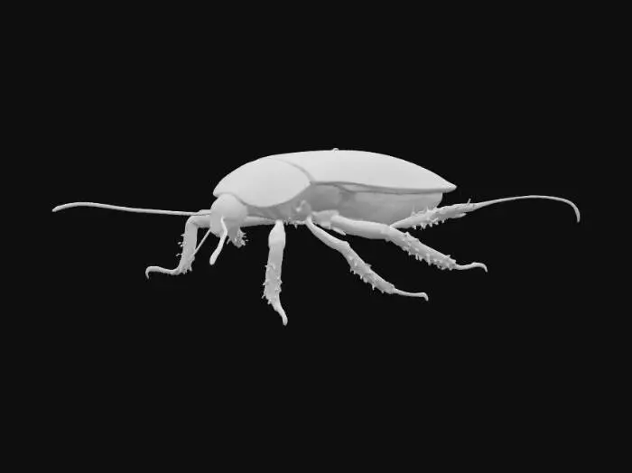 3D model for Can you generate a normal cockroach