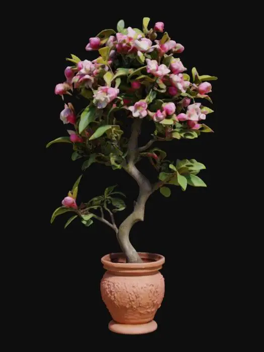 3D model for beautiful flowering crab-apple tree in a pot. , #garden#