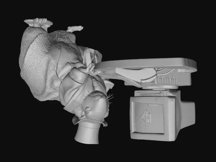 3D model for Squirrel Programmer Elegance