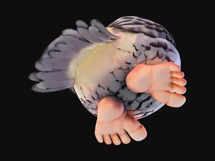 3D model for Tongue-Out Pigeon