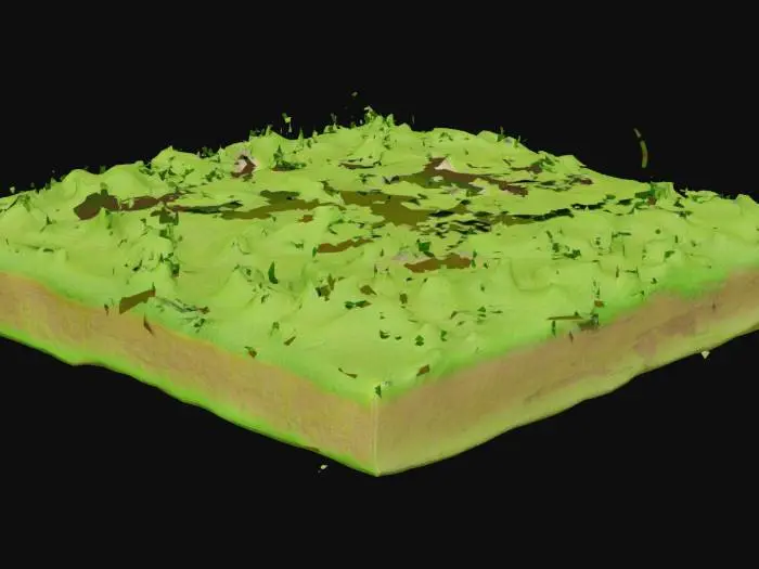 3D model for Grass Plot Rendering