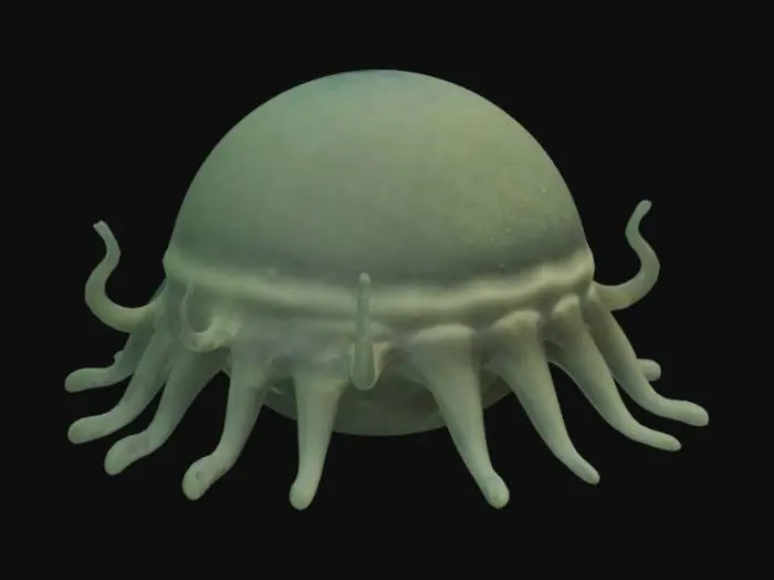 3D model for an amoeba