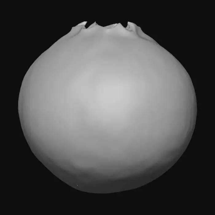 3D model for Blueberry Delight