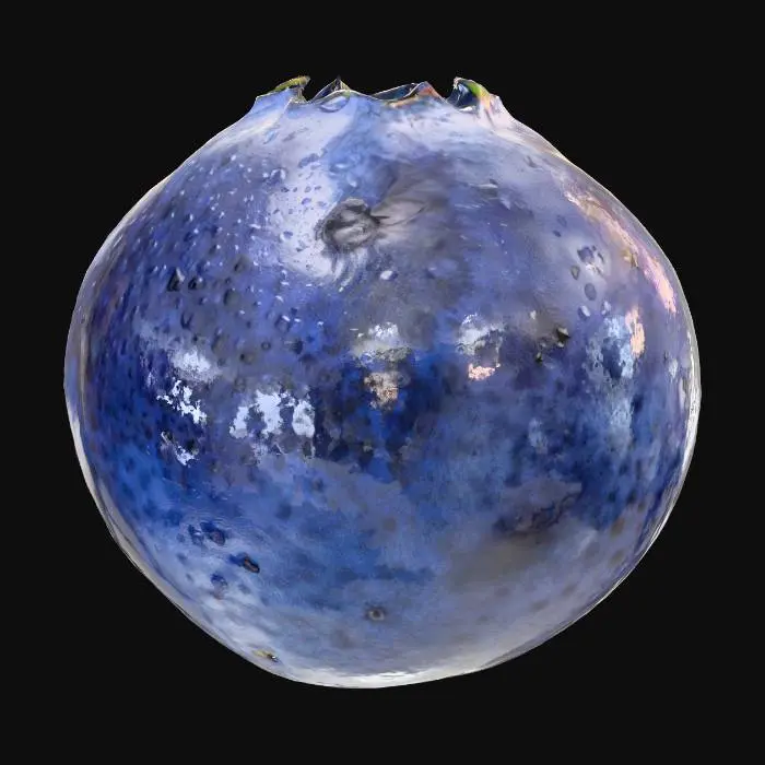 3D model for Blueberry Delight