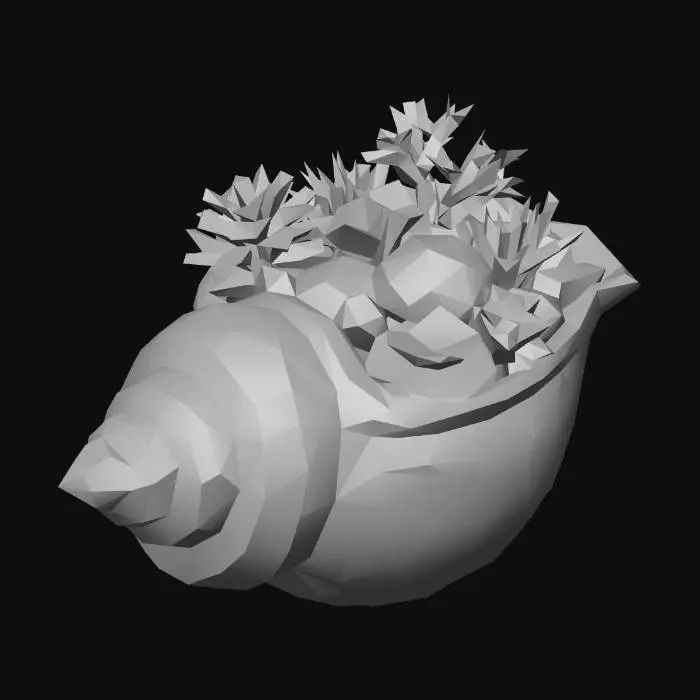 3D model for Coral Bouquet in a Shell