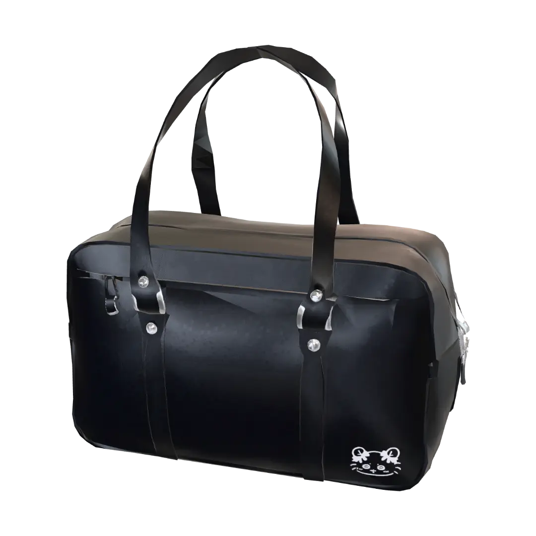 satchel