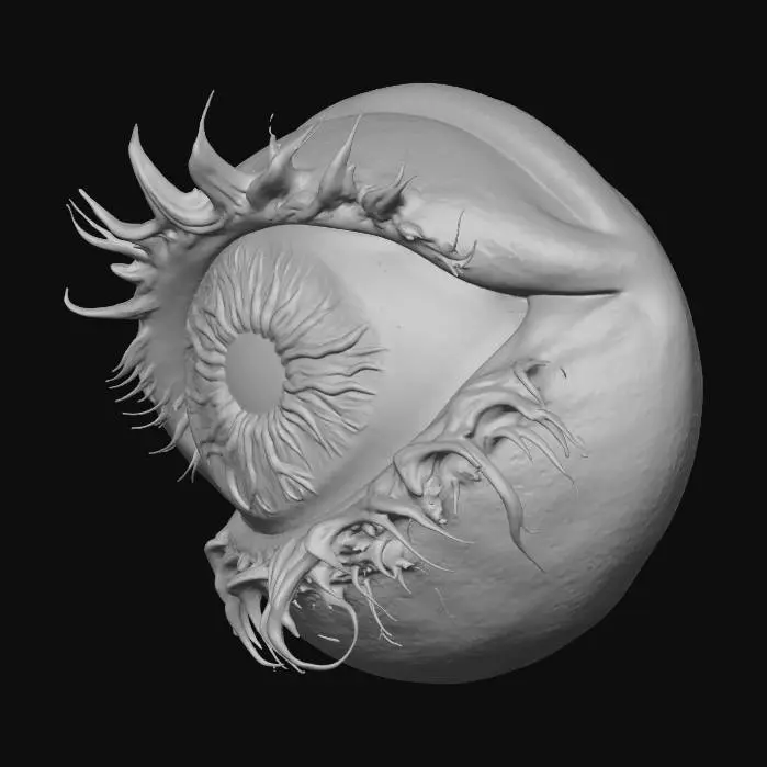 3D model for Ethereal Gaze