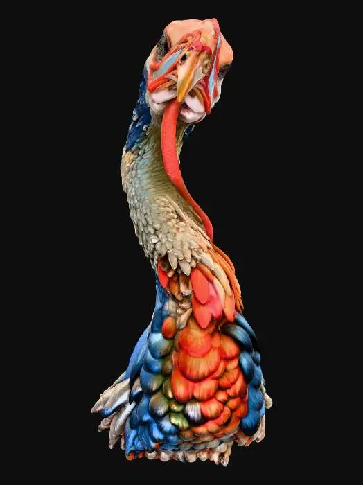 3D model for Patriotic Poultry, #Thanksgiving#