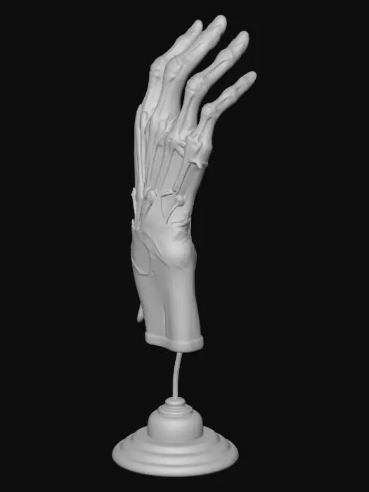 Hand 3D Models for Free Download - Meshy