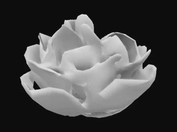 3D model for planta de repollo. con varios repollos gordos y brillantes