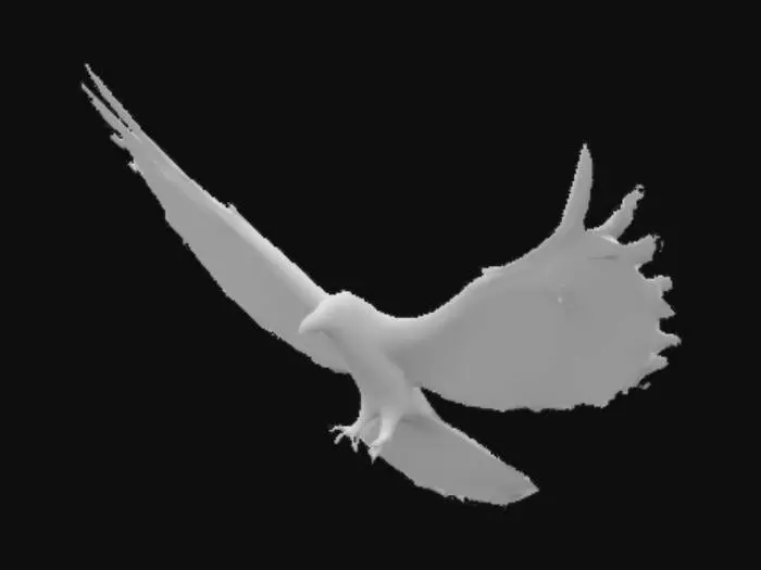 3D model for Blackbird in Flight