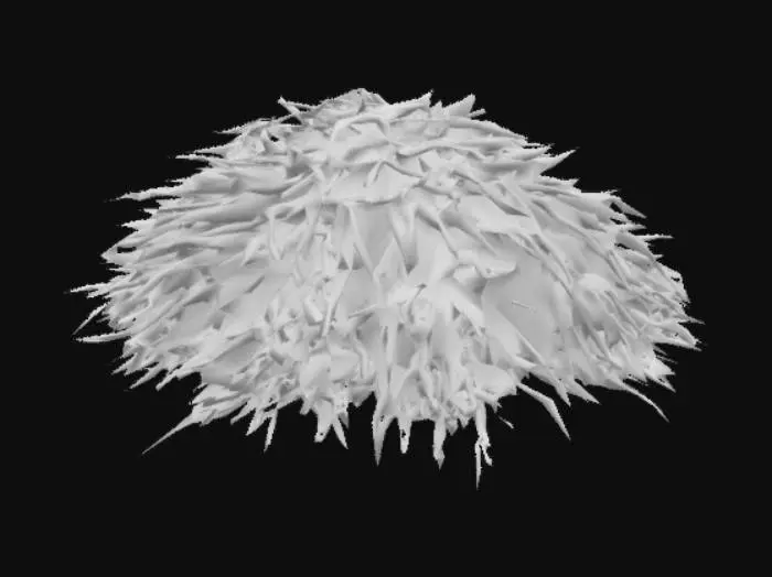 3D model for Haystack Harmony
