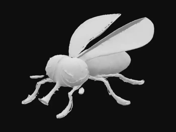 3D model for Green Buzzfly