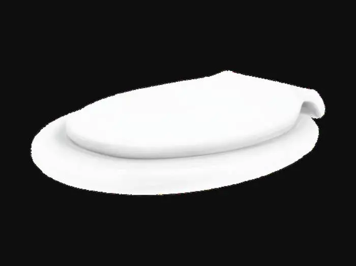 3D model for Toilet Seat Design
