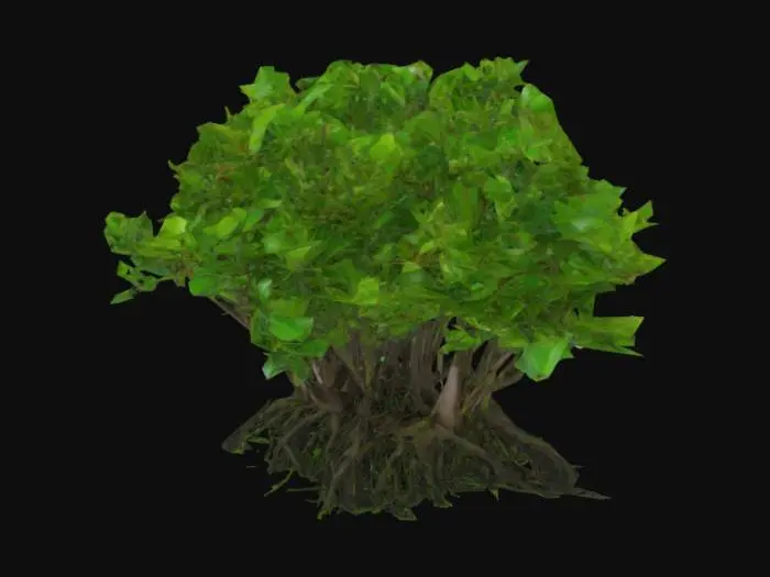 3D model for Mangrove Majesty