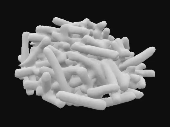 3D model for Breadsticks