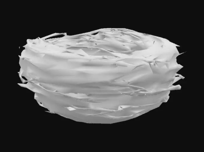 3D model for Bird's Nest Illustration