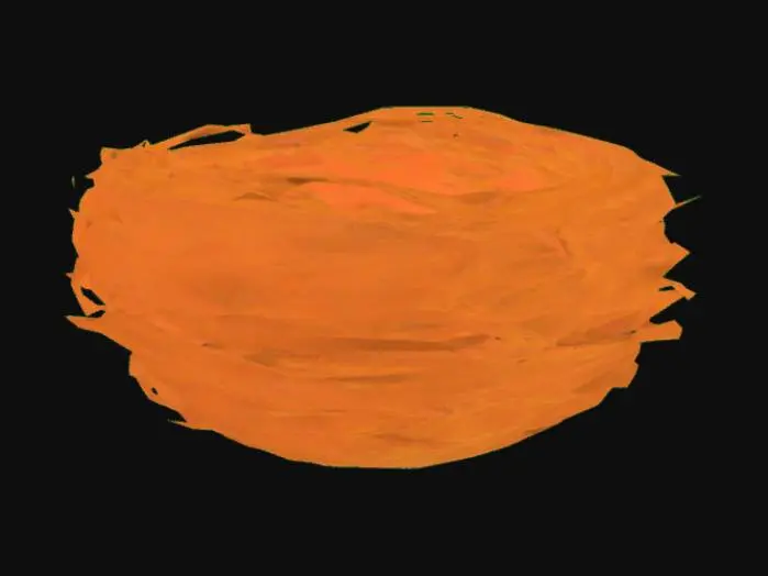 3D model for Bird's Nest Illustration