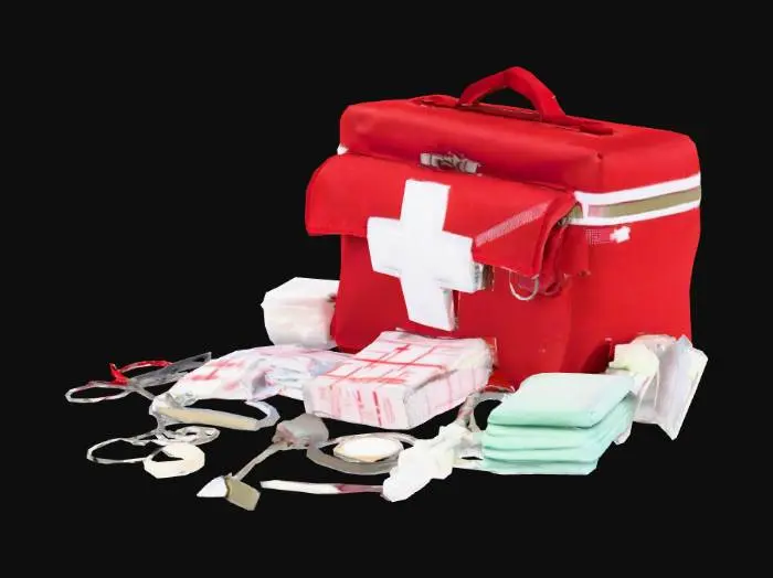 3D model for First Aid Kit Essentials