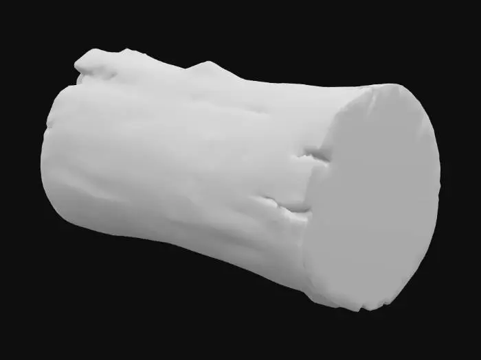 3D model for Log Slice, #PBR#