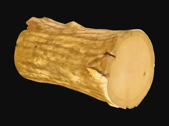 3D model for Log Slice, #PBR#