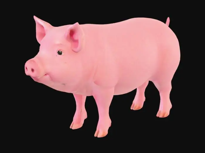 3D model for Pig Portrait