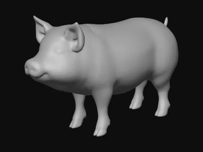 3D model for Pig Portrait