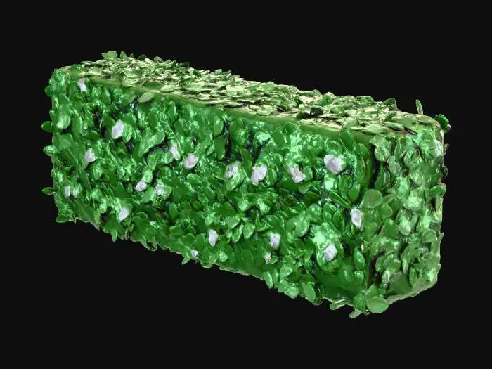 3D model for Green Barrier