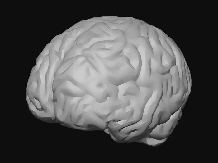 3D model for Pink Brain