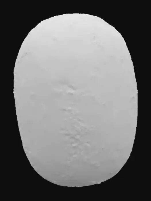 3D model for Olive Essence