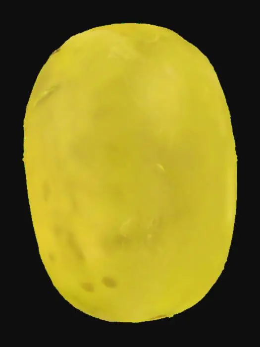 3D model for Olive Essence