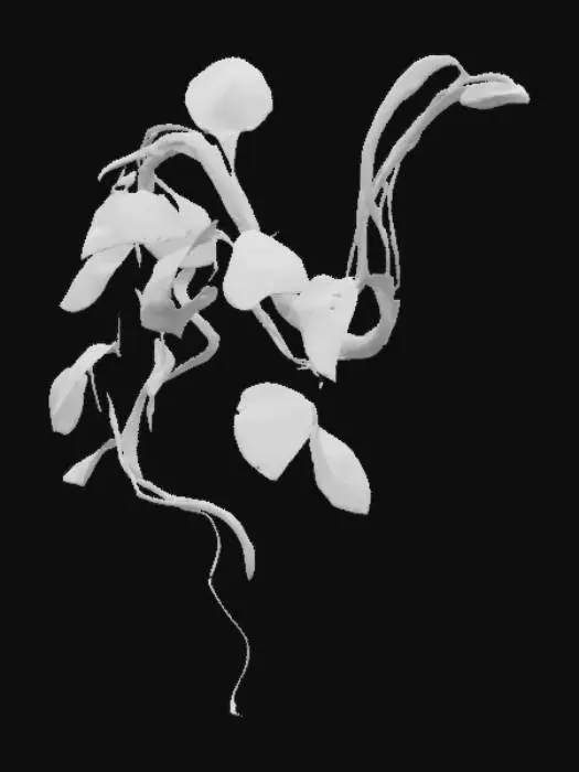 3D model for Jungle Vines Swing