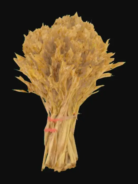 3D model for Wheat Sheaf