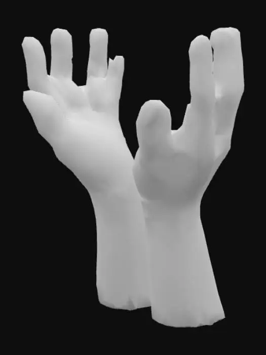 3D model for Open Hands Illustration