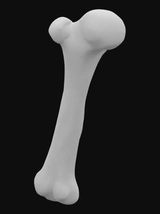 3D model for Cartoon Bone Illustration, #PBR#