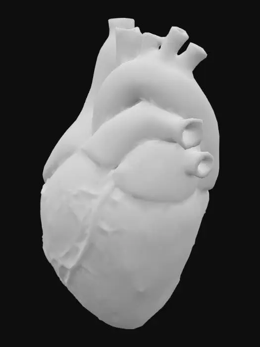 3D model for Human heart