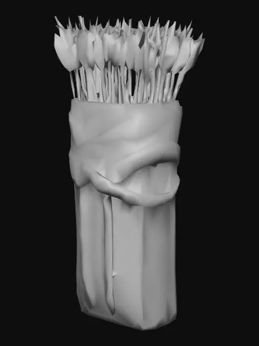 3D model for Quiver of Arrows