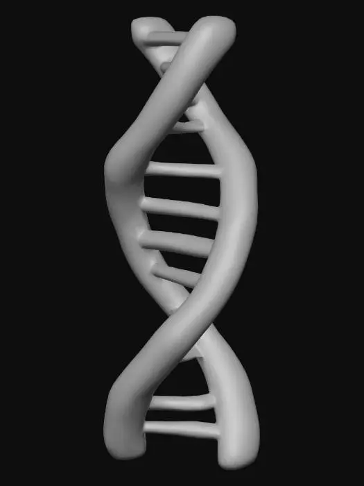 3D model for DNA Helix Illustration