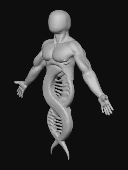 3D model for Human DNA Fusion