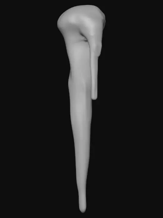 3D model for Icicle Essence