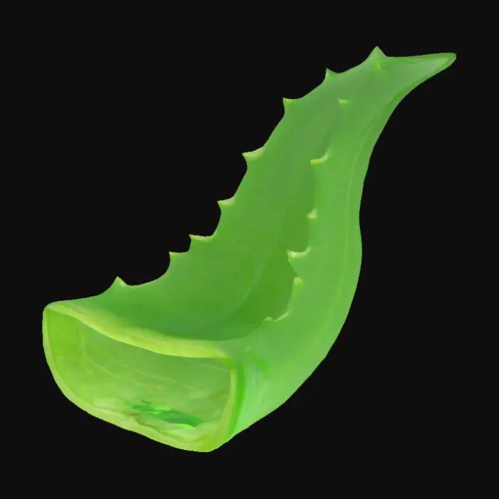 3D model for Aloe Slice