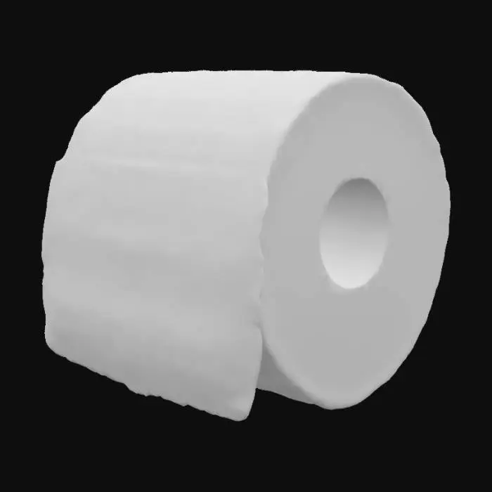 3D model for Toilet Roll Still Life