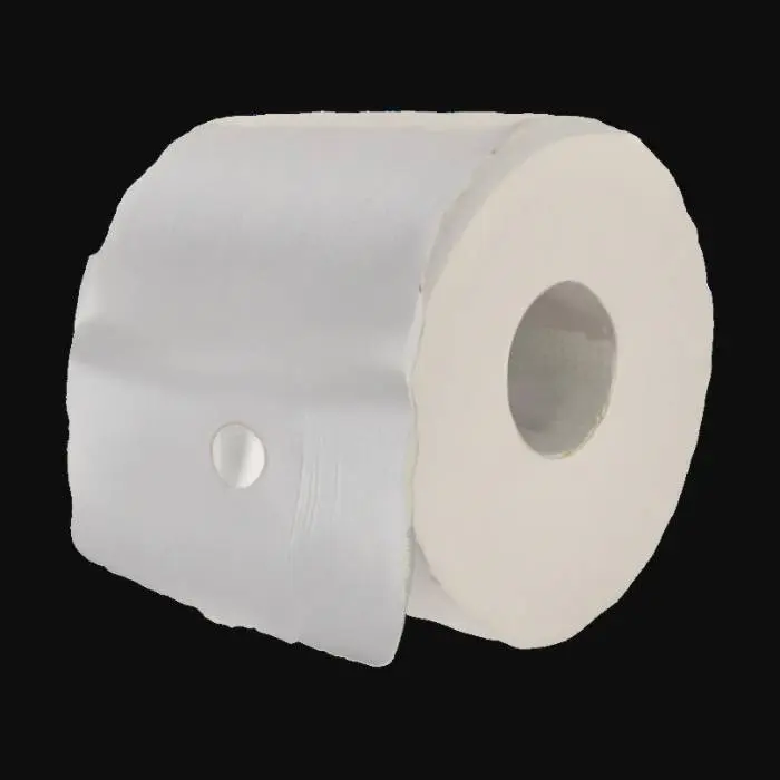 3D model for Toilet Roll Still Life