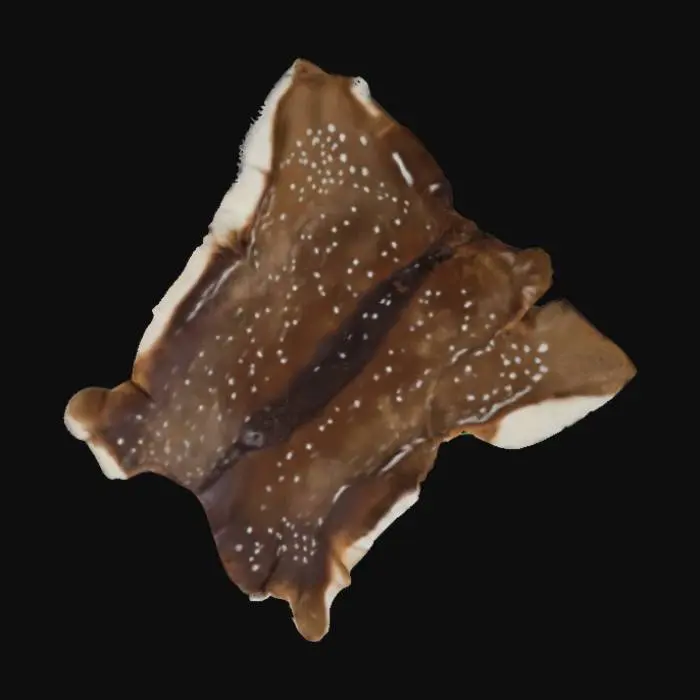 3D model for Spotted Elegance