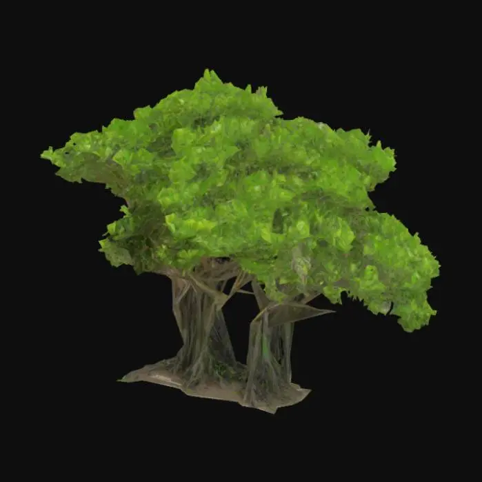 3D model for Mangrove Majesty