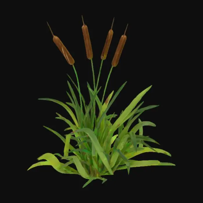 3D model for Cattail Serenity