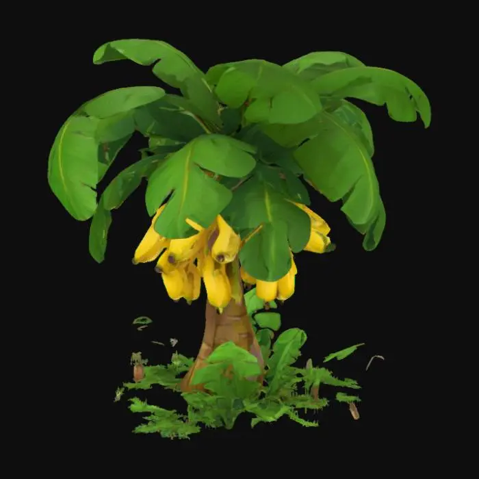 3D model for Banana Tree Paradise